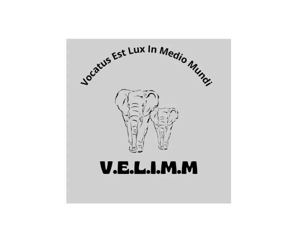 Velimm